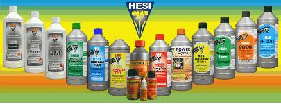 Hesi Hesi